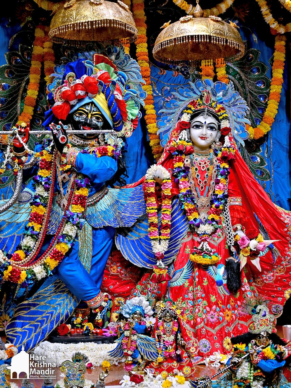 2026-02-15 Darshan